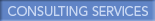 consulting services